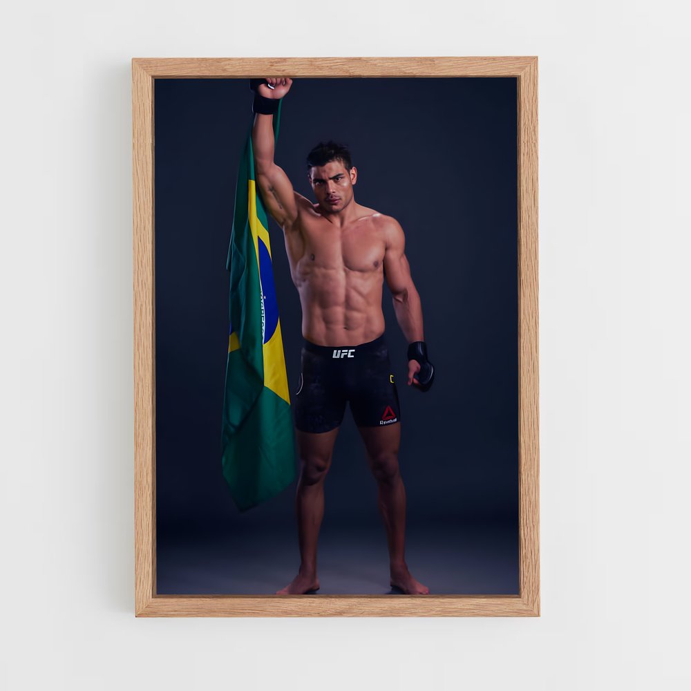 Poster L'Esprit Brésilien – affiche MMA (vue 4)